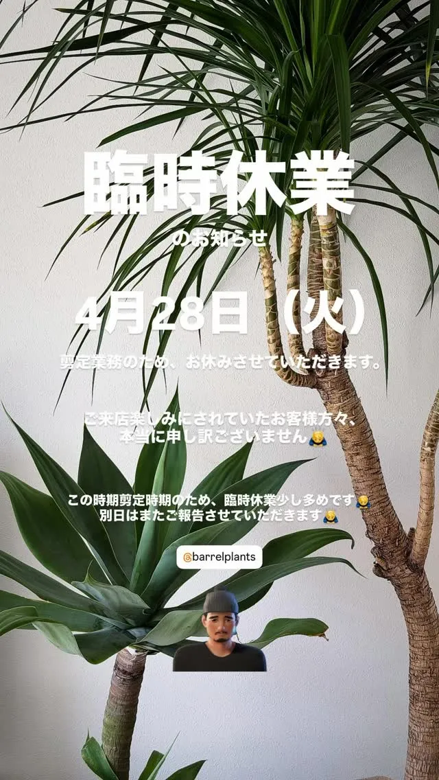 【barrelplantsの臨時休業のお知らせ】
