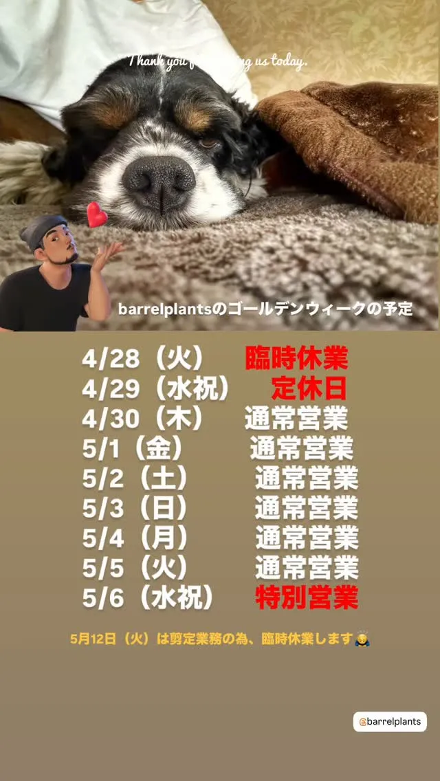 【barrelplantsのゴールデンウィークのお知らせ】