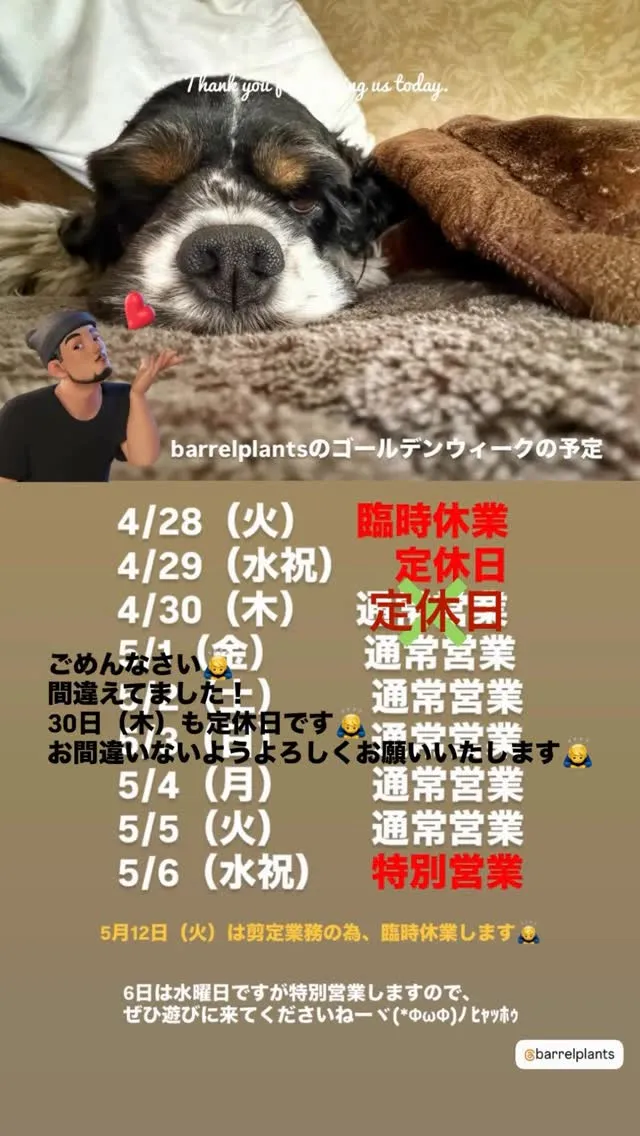 皆様おはようございます！