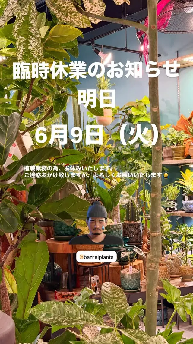 臨時休業のお知らせと、またお会いできる日を楽しみに。