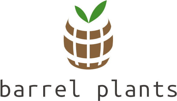 barrel plants